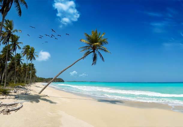 Mangro Hotel Diani Beach Luaran gambar